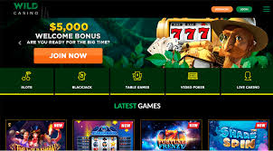 Wild Joker Online Casino: In-Depth Evaluation of Gamings, Bonus Offers, and Customer Experience